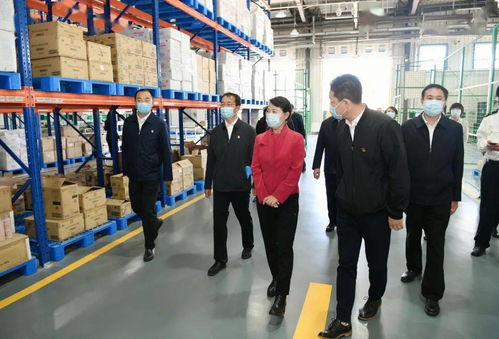 王莉霞强调 强化一对一精准服务，全面推动综合保税区高质量发展